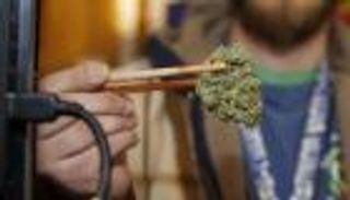 بنما أول دولة في أمريكا الوسطى تشرّع القنب الهندي لأغراض طبية