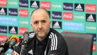 جمال بلماضي مدرب منتخب الجزائر