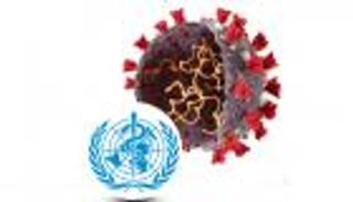 إنفوجراف.. 6 سلالات لكورونا أقلقت "الصحة العالمية"