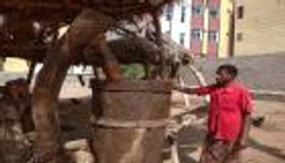 جشع الحوثي يقتل التجارة اليمنية.. أزمات "معاصر السمسم"