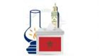 "العدالة والتنمية" المغربي.. "خراب داخلي" على محك الانتخابات