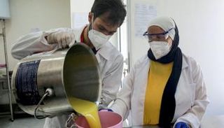 إعداد صابون حليب الحمير في الأردن