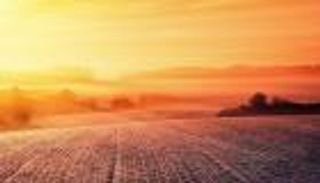 التغيرات المناخية تدفع الحيوانات إلى تغيير شكلها