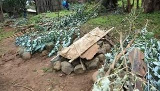 إحدى مقابر ضحايا "تحرير تجراي" بمنطقة شمال جوندر