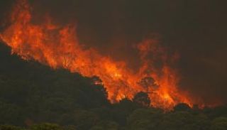 حريق غابات بجنوب إسبانيا