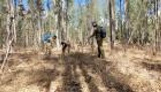 إعادة اعتقال أسرى فلسطينيين.. "قصاصو الأثر" كلمة السر