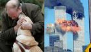 في ذكرى هجمات 11 سبتمبر.. قصة كلبة أنقذت مالكها الكفيف