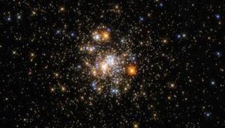 العنقود النجمي 