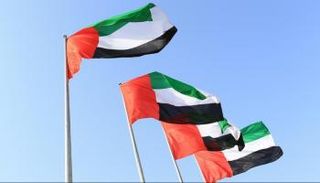القرار