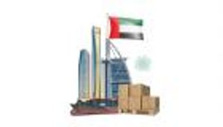 بالأرقام.. طفرة هائلة بتجارة الإمارات غير النفطية مع العالم 
