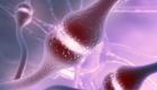 "الدوبامين" يفاجئ العلماء.. معلومات جديدة عن "هرمون السعادة"