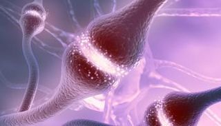 علماء يتوصلون لفهم جديد حول 