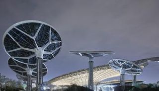 المناخ والتنوع البيولوجي.. أول مواضيع إكسبو 2020 دبي