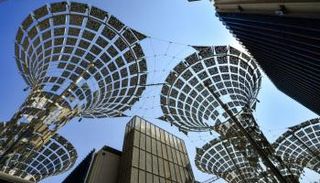 إكسبو سيعزز التعاون الدولي ويجسد آمال الشباب