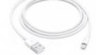 كابل شحن "طرزان".. مشروع أوروبي "مثير" يغضب "أبل"