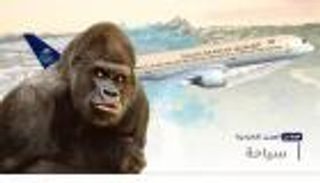 موجز "العين الإخبارية" للسياحة.. مفاجأة الخطوط السعودية ومغامرة دبي بارك