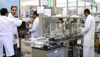 التنمية البشرية 