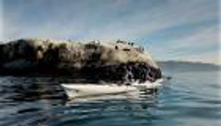 السياحة في "كيب تاون".. جولة بمدينة الطبيعة الخلابة والحيوانات النادرة