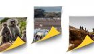 إنفوجراف.. 6 مواقع للاستمتاع بالسياحة البيئية في السعودية