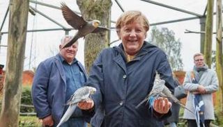 المستشارة الألمانية انجيلا ميركل