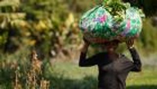 "لماذا أفريقيا؟".. إكسبو دبي يعيد للقارة السمراء بريقها