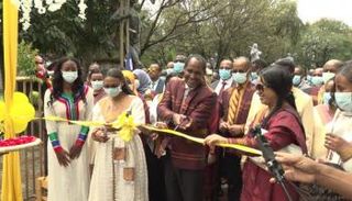 مدينة أواسا جنوب البلاد