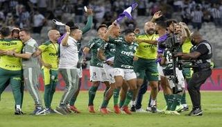 بالميراس البرازيلي