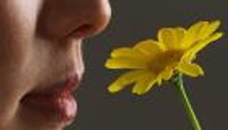 دراسة تبحث استخدام فيتامين "أ" لعلاج فقدان الشم