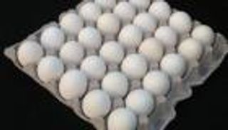 أسعار البيض في مصر تشتعل.. "الكرتونة" تتجاوز الـ50 جنيها: ما السبب؟