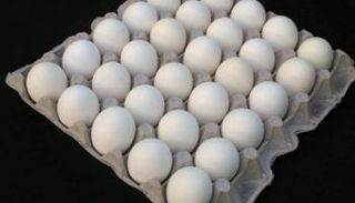 أسعار بيض المائدة في مصر