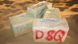 إحباط عملية تهريب دولية للمخدرات بالمغرب.. وحجز نصف طن من "الشيرا"