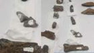 اكتشاف موقع أثري يعود لـ3 ملايين سنة في إثيوبيا (صور)