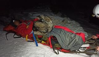 الكلب متكوّم بجانب الرجل المستلقي على حمّالة