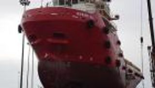 أوروبا تندد بجريمة الحوثي.. دعوات للإفراج عن "روابي"