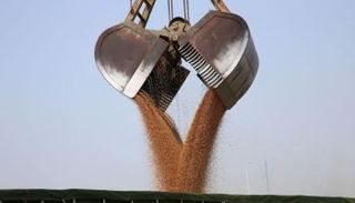 أزمة تضخم وراء ارتفاع أسعار الغذاء العالمية