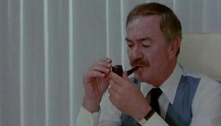 الفنان الراحل عادل أدهم