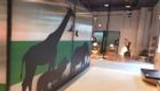 جناح زامبيا في إكسبو 2020 دبي.. العالم يستكشف أرض المعادن النفيسة