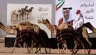 "الظفرة" وجهة إماراتية عالمية مفضلة للسياحة الصحراوية