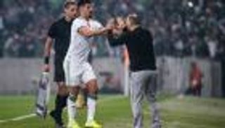 كأس أمم أفريقيا.. رسالة مؤثرة من جمال بلماضي بشأن بغداد بونجاح