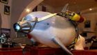 حماس: القبض على "دولفين" يعمل لصالح إسرائيل