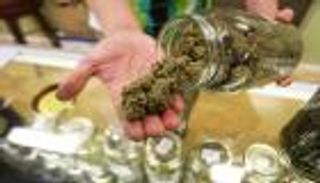 "القنب يحمي من كورونا".. هل يحظى المدمنون بميزة في زمن الجائحة؟