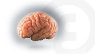 5 مشروبات تحسّن وظائف الدماغ