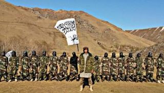 عناصر مؤيدة لـ