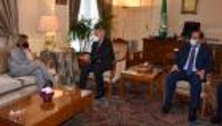 لقاء أبوالغيط وليامز.. دعوات لأطراف ليبيا بشأن الانتخابات