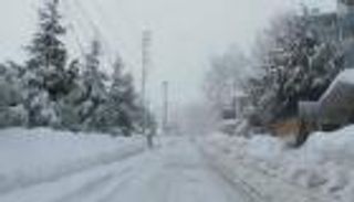 باللحم الحي.. لبنانيون يواجهون "هبة" عراة