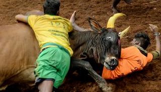 جانب من مهرجان 