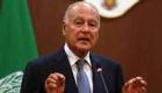أبو الغيط يجدد دعمه للإمارات ويصف هجوم الحوثي بـ"الجبان"