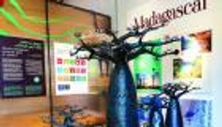 مدغشقر "القارة الثامنة".. ملهمة العالم في إكسبو 2020 دبي