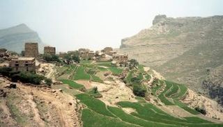 موجة الصقيع في اليمن
