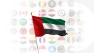 77 دولة و15 منظمة تدين الإرهاب الحوثي وتتضامن مع الإمارات